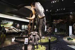 「【滋賀】11月22日～24日の三連休おでかけにもおすすめ！人気スポットランキング」の写真