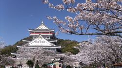 「【静岡】11月22日～24日の三連休おでかけにもおすすめ！人気スポットランキング」の写真