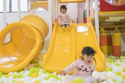 「【佐賀】11月22日～24日の三連休おでかけにもおすすめ！人気スポットランキング」の写真