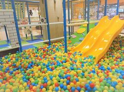 「【佐賀】11月22日～24日の三連休おでかけにもおすすめ！人気スポットランキング」の写真