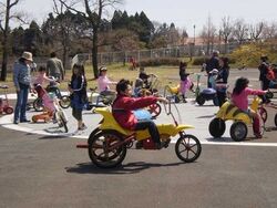 「【長崎】11月22日～24日の三連休おでかけにもおすすめ！人気スポットランキング」の写真