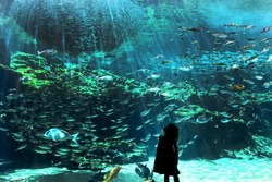 「【長崎】11月22日～24日の三連休おでかけにもおすすめ！人気スポットランキング」の写真