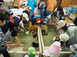 「【熊本】11月22日～24日の三連休おでかけにもおすすめ！人気スポットランキング」の写真