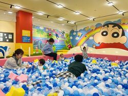 「【熊本】11月22日～24日の三連休おでかけにもおすすめ！人気スポットランキング」の写真