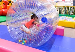 「【熊本】11月22日～24日の三連休おでかけにもおすすめ！人気スポットランキング」の写真