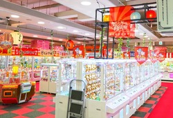 「【熊本】11月22日～24日の三連休おでかけにもおすすめ！人気スポットランキング」の写真