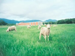 「【大分】11月22日～24日の三連休おでかけにもおすすめ！人気スポットランキング」の写真