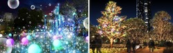 （左）CHRISTMAS GARDEN LIGHTS （イメージ）、（右）EMOTION PALETTE TREE（イメージ）