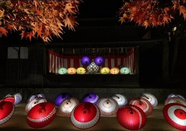 紅葉八幡宮 もみじ祭り／紅葉ライトアップの様子