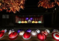 紅葉八幡宮 もみじ祭り／紅葉ライトアップの様子