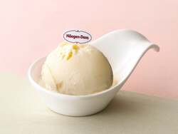 ハーゲンダッツバニラ