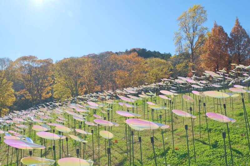 日中は陽の光を受けてキラキラと輝く