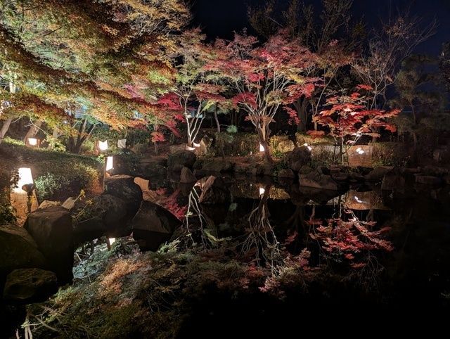 大磯城山公園もみじのライトアップ2025（神奈川県公園協会 大磯城山公園）