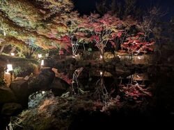 大磯城山公園もみじのライトアップ2025（神奈川県公園協会 大磯城山公園）