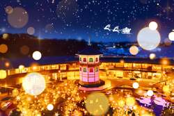 「日本三景・松島で16万球の光に包まれるイルミネーション開催!宝探しで冬の夜を満喫」の写真