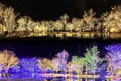 「日本三景・松島で16万球の光に包まれるイルミネーション開催!宝探しで冬の夜を満喫」の写真