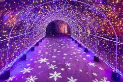 「日本三景・松島で16万球の光に包まれるイルミネーション開催!宝探しで冬の夜を満喫」の写真