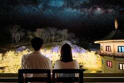 「日本三景・松島で16万球の光に包まれるイルミネーション開催!宝探しで冬の夜を満喫」の写真