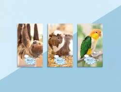 ステッカーイメージ