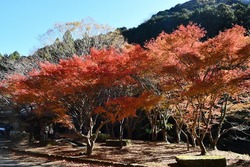 滝ノ谷不動峡もみじまつり