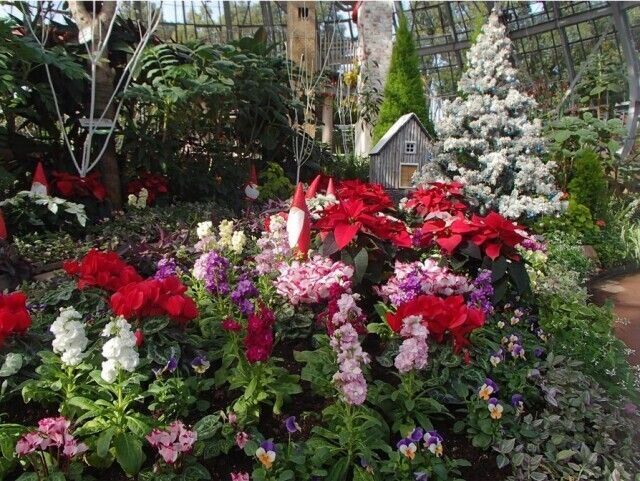 花の展示温室 クリスマスガーデン