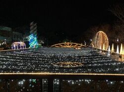 イルミネーション・in・ひみ（過去開催時の様子）