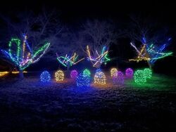 原村 星空のイルミネーション2025