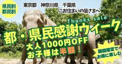 「東京・神奈川・千葉在住なら最大半額！群馬サファリパークで冬の感謝キャンペーン開催」の写真