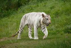 「東京・神奈川・千葉在住なら最大半額！群馬サファリパークで冬の感謝キャンペーン開催」の写真