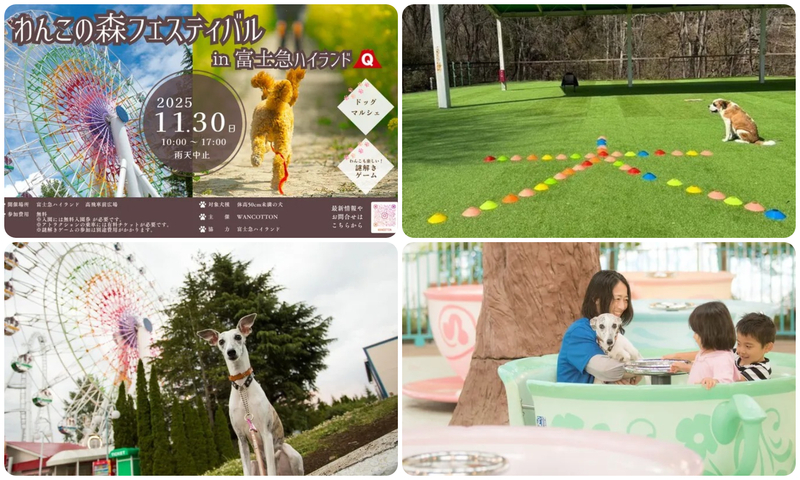 わんこの森フェスティバル in 富士急ハイランド