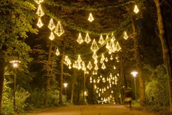 「本場フィンランドのサンタクロースに会える！　「メッツァの北欧クリスマス2025」開催」の写真