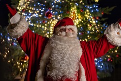 「本場フィンランドのサンタクロースに会える！　「メッツァの北欧クリスマス2025」開催」の写真