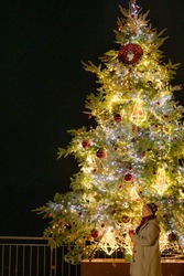 「本場フィンランドのサンタクロースに会える！　「メッツァの北欧クリスマス2025」開催」の写真