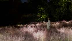 チームラボ《光色の草原 - カピラリス》