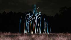 チームラボ《風と共に踊る柱群》、《光色の草原 - カピラリス》