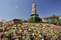 「【札幌周辺】11月29日・30日の今週末のおでかけにもおすすめ！人気スポットランキング」の写真