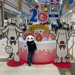 「【札幌周辺】11月29日・30日の今週末のおでかけにもおすすめ！人気スポットランキング」の写真