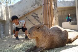 「【土浦周辺】11月29日・30日の今週末のおでかけにもおすすめ！人気スポットランキング」の写真