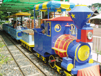 「【松戸・柏周辺】11月29～30日の今週末おでかけにもおすすめ！人気スポットランキング」の写真