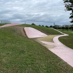 「【久喜周辺】11月29日・30日の今週末のおでかけにもおすすめ！人気スポットランキング」の写真