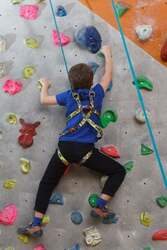 クライミングエリア（イメージ）