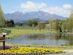 「【日光周辺】11月29日・30日の今週末のおでかけにもおすすめ！人気スポットランキング」の写真