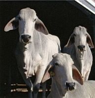 「【館山周辺】11月29日・30日の今週末のおでかけにもおすすめ！人気スポットランキング」の写真