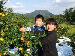 「【館山周辺】11月29日・30日の今週末のおでかけにもおすすめ！人気スポットランキング」の写真