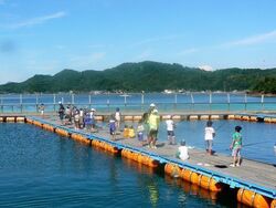 「【天草周辺】11月29日・30日の今週末のおでかけにもおすすめ！人気スポットランキング」の写真