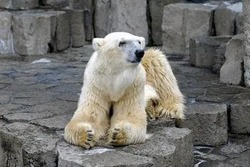 「【浅草周辺】11月29日・30日の今週末のおでかけにもおすすめ！人気スポットランキング」の写真