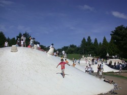 「【八王子周辺】11月29日・30日の今週末おでかけにもおすすめ！人気スポットランキング」の写真