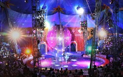 「【八王子周辺】11月29日・30日の今週末おでかけにもおすすめ！人気スポットランキング」の写真