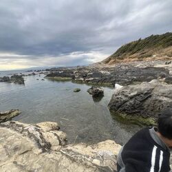 「【横須賀周辺】11月29日・30日の今週末おでかけにもおすすめ！人気スポットランキング」の写真