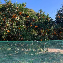 「【横須賀周辺】11月29日・30日の今週末おでかけにもおすすめ！人気スポットランキング」の写真